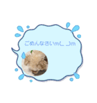 ポメプーらん君（個別スタンプ：22）