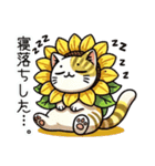 向日葵にゃん②…（個別スタンプ：37）