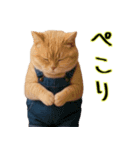 オーバーオールでぶ猫にゃ♡ずっと使える（個別スタンプ：4）