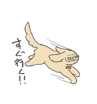 誰かに似ているかもしれない動物スタンプ（個別スタンプ：8）