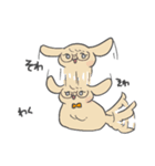 誰かに似ているかもしれない動物スタンプ（個別スタンプ：24）