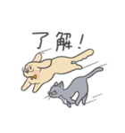 誰かに似ているかもしれない動物スタンプ（個別スタンプ：35）