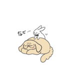 誰かに似ているかもしれない動物スタンプ（個別スタンプ：38）