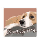 リアムの日常スタンプ（個別スタンプ：8）