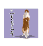 リアムの日常スタンプ（個別スタンプ：14）