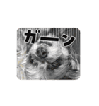 ブーちゃんスタンプ4（個別スタンプ：2）