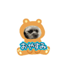 ブーちゃんスタンプ4（個別スタンプ：4）