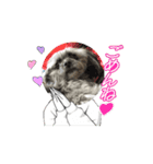 ブーちゃんスタンプ4（個別スタンプ：7）