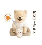 ポメラニアンのくだらないネタスタンプ（個別スタンプ：1）