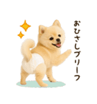 ポメラニアンのくだらないネタスタンプ（個別スタンプ：3）