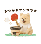 ポメラニアンのくだらないネタスタンプ（個別スタンプ：12）