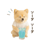 ポメラニアンのくだらないネタスタンプ（個別スタンプ：18）