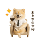 ポメラニアンのくだらないネタスタンプ（個別スタンプ：38）