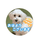 マルックスもなかのスタンプ【ほどよい】（個別スタンプ：2）