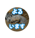 マルックスもなかのスタンプ【ほどよい】（個別スタンプ：5）