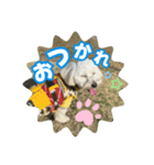 マルックスもなかのスタンプ【ほどよい】（個別スタンプ：8）