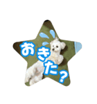 マルックスもなかのスタンプ【ほどよい】（個別スタンプ：10）