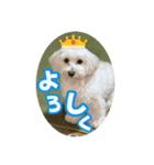 マルックスもなかのスタンプ【ほどよい】（個別スタンプ：11）