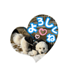 マルックスもなかのスタンプ【ほどよい】（個別スタンプ：12）