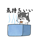 ハスキーの心からの献身（個別スタンプ：1）
