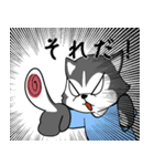 ハスキーの心からの献身（個別スタンプ：5）