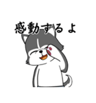 ハスキーの心からの献身（個別スタンプ：11）