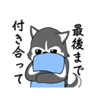 ハスキーの心からの献身（個別スタンプ：20）