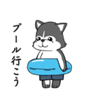 ハスキーの心からの献身（個別スタンプ：25）