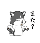 ハスキーの心からの献身（個別スタンプ：30）
