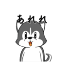 ハスキーの心からの献身（個別スタンプ：32）