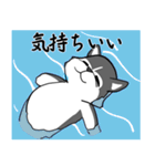 ハスキーの心からの献身（個別スタンプ：37）