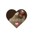 文鳥家族 1（個別スタンプ：3）