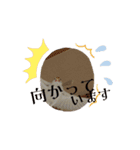 文鳥家族 1（個別スタンプ：6）
