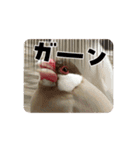 文鳥家族 1（個別スタンプ：7）