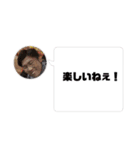 Jun・Ju・Jun（個別スタンプ：14）