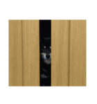 散歩拒否犬 どんさん（個別スタンプ：16）