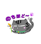 アメショぽんず日常SP2（個別スタンプ：6）