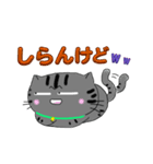 アメショぽんず日常SP2（個別スタンプ：13）
