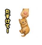 ❤︎あかにゃん❤︎茶虎.（個別スタンプ：2）