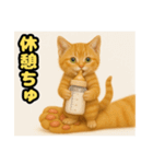 ❤︎あかにゃん❤︎茶虎.（個別スタンプ：4）