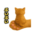 ❤︎あかにゃん❤︎茶虎.（個別スタンプ：5）