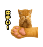 ❤︎あかにゃん❤︎茶虎.（個別スタンプ：8）
