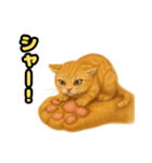 ❤︎あかにゃん❤︎茶虎.（個別スタンプ：9）