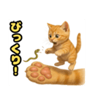 ❤︎あかにゃん❤︎茶虎.（個別スタンプ：10）