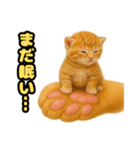 ❤︎あかにゃん❤︎茶虎.（個別スタンプ：11）