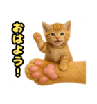 ❤︎あかにゃん❤︎茶虎.（個別スタンプ：12）