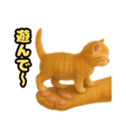 ❤︎あかにゃん❤︎茶虎.（個別スタンプ：13）