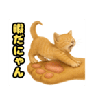 ❤︎あかにゃん❤︎茶虎.（個別スタンプ：14）