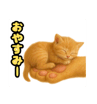❤︎あかにゃん❤︎茶虎.（個別スタンプ：16）