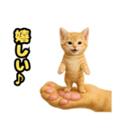 ❤︎あかにゃん❤︎茶虎.（個別スタンプ：21）